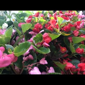 Meet your Posher, Jayda